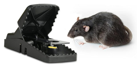 Smart Mouse Trap – Humane & Effective Rodent Catcher for Home & Office